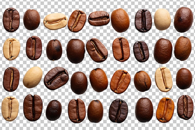 coffee beans High quality Realistic image