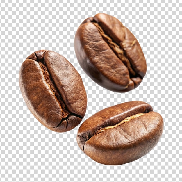 Coffee beans on transparent background