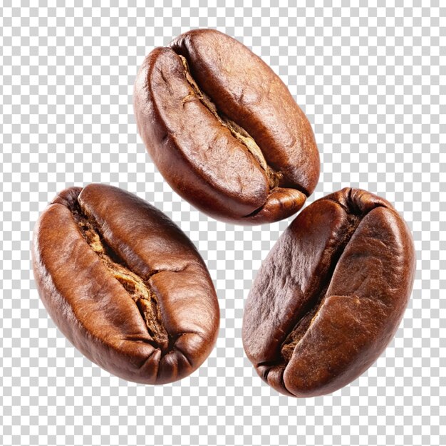 Coffee beans on transparent background