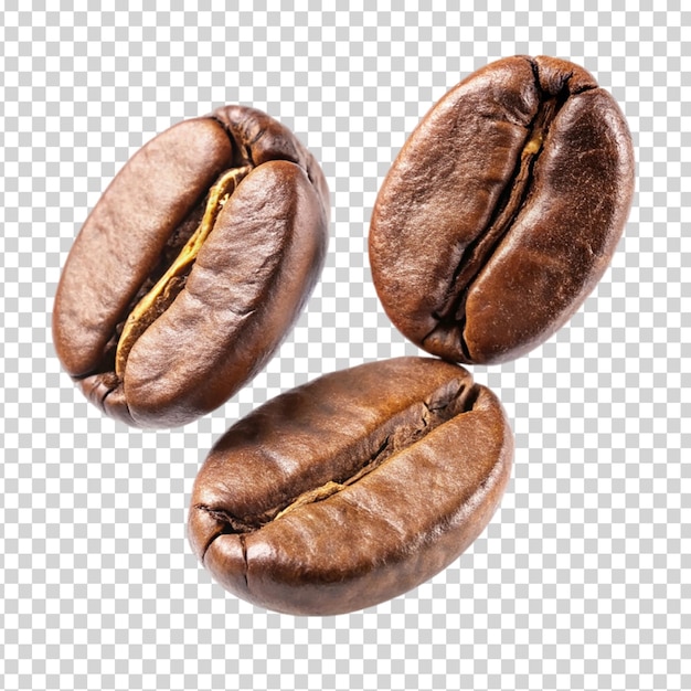 Coffee beans on transparent background