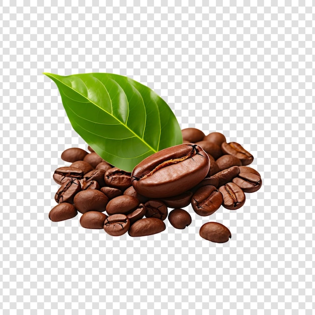 Coffee beans with green leaves isolated on a white background