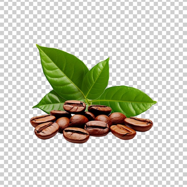 Coffee beans with leaves isolated on a transparent background