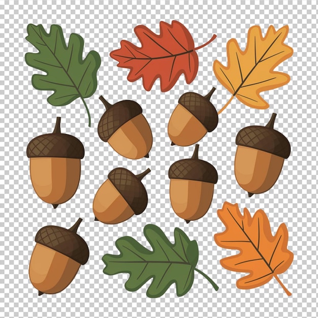 PSD collection of acorns and oak leaves in fall colors isolated