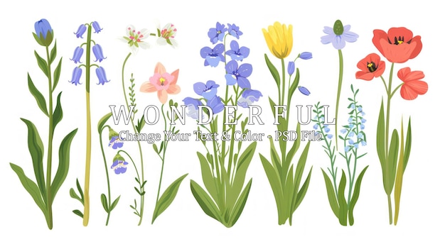 PSD collection of beautiful spring flowers