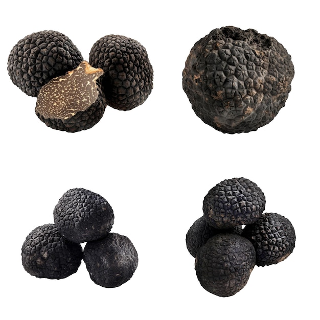 PSD a collection of black truffles