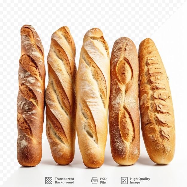 a collection of breads with the word " bread " on a white background.