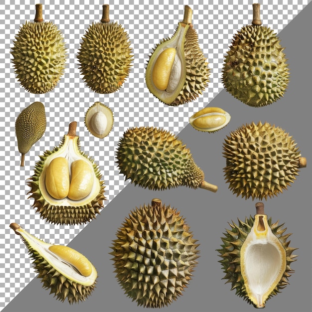 Collection of durian transparent background