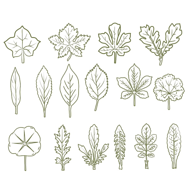 PSD collection of hand drawn leaves