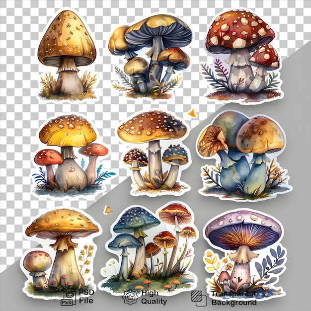 a collection of mushrooms stickers isolated on transparent background