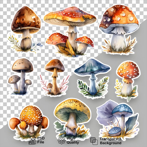 a collection of mushrooms stickers isolated on transparent background