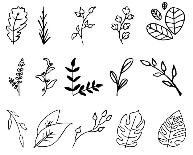 PSD collection of outline leaves plants element psd template