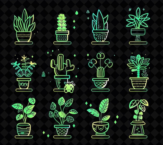 a collection of potted cactus and cactus