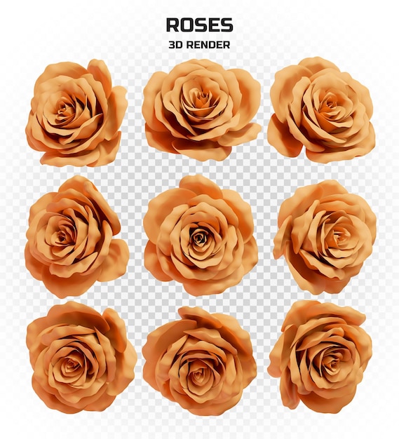 Collection of realistic 3d render orange roses in high resolution with many perspectives