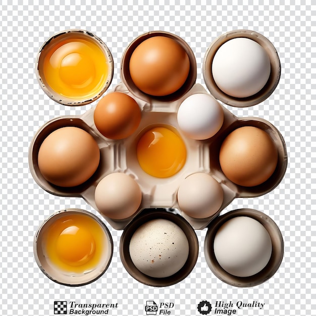 collection set of egg trays isolated on transparent background