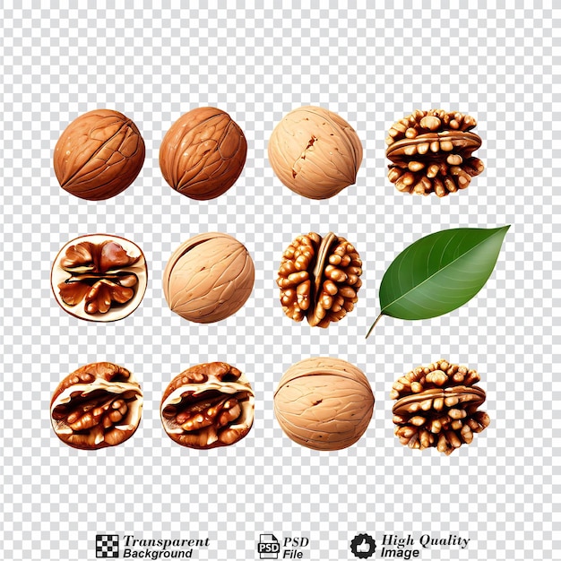 collection set of walnuts isolated on transparent background