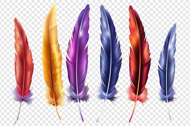 color feathers isolated on transparent background