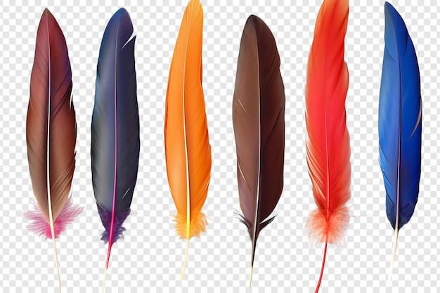 PSD color feathers isolated on transparent background