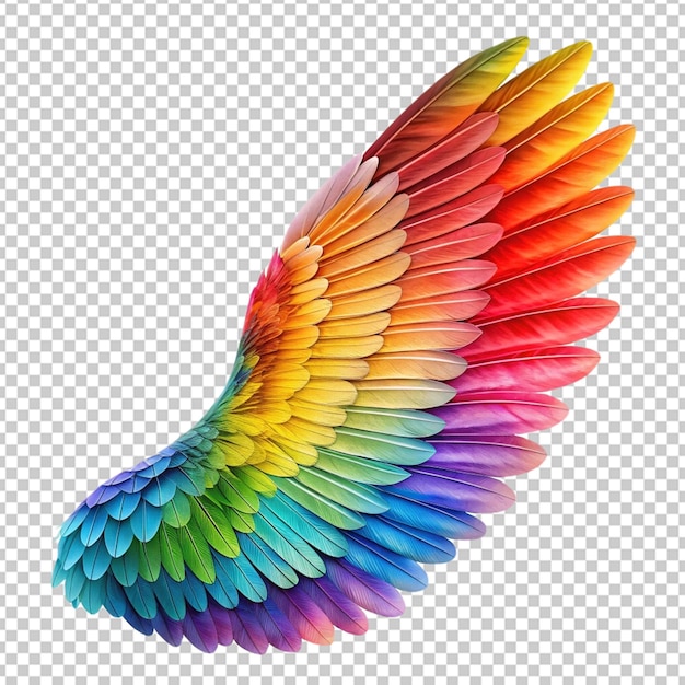 PSD color full wing on white back ground