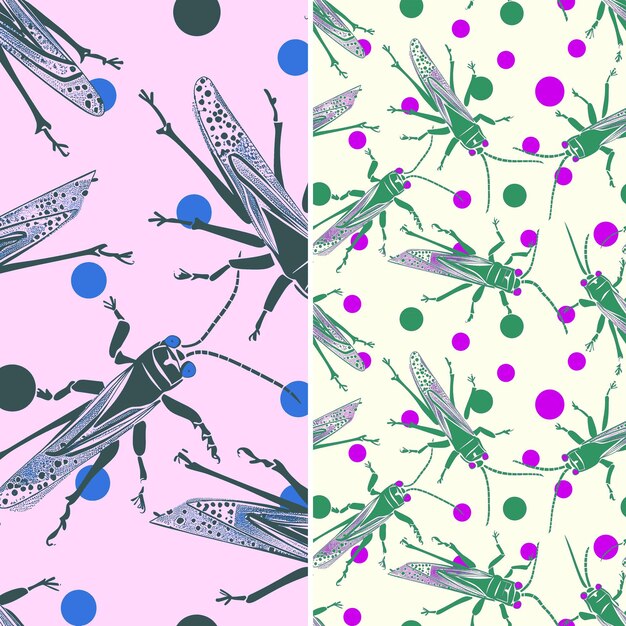 a colorful background with a fly and polka dot on it