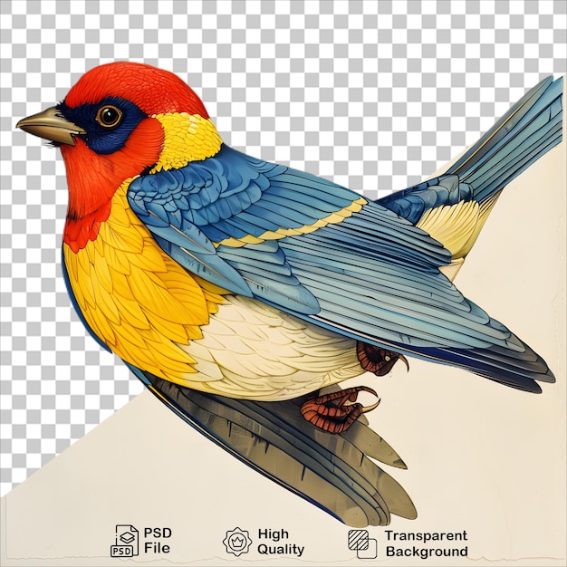 PSD colorful bird in watercolor style on clear background