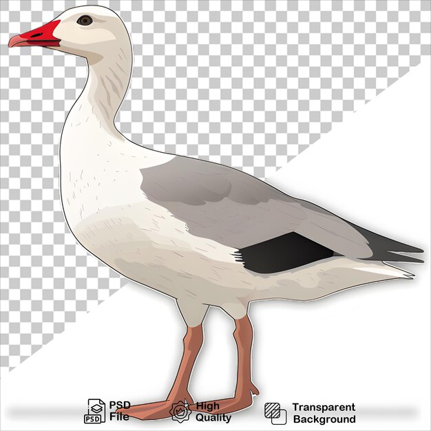 Colorful Duck Character in Cartoon Style