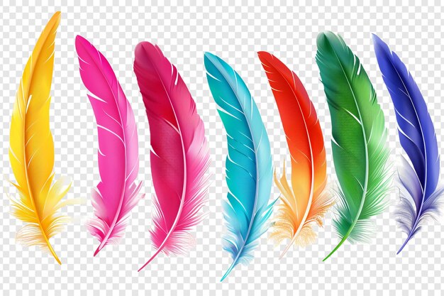 colorful feathers isolated on transparent background