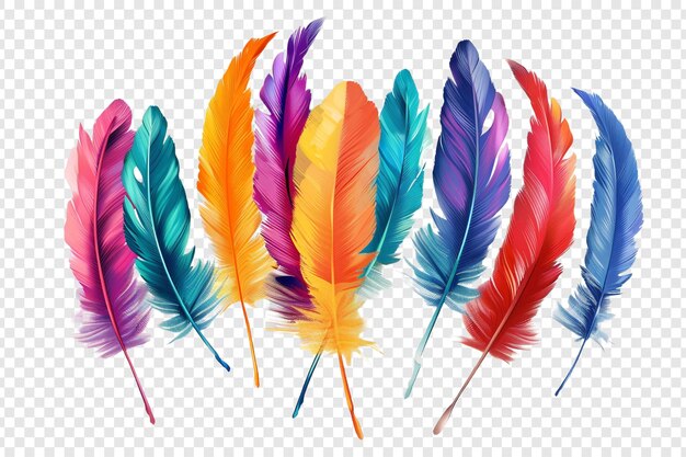 PSD colorful feathers isolated on transparent background