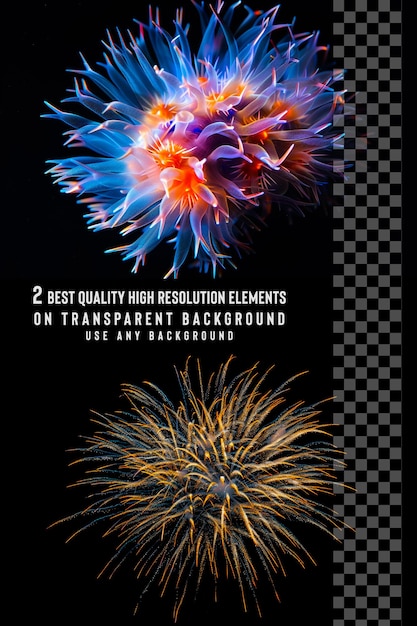 PSD colorful fireworks on the day of the navy isolated on transparent background