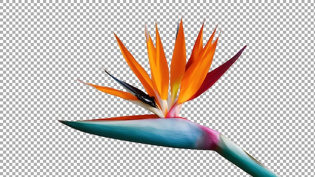 PSD a colorful flower with a beak that has a red and blue coloring