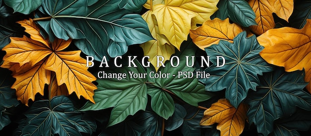 colorful leaves background Creative layout made of leaves