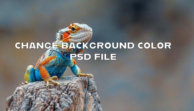 PSD colorful panther chameleon perched on a stump