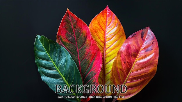 PSD colorful tropical leaves on black background