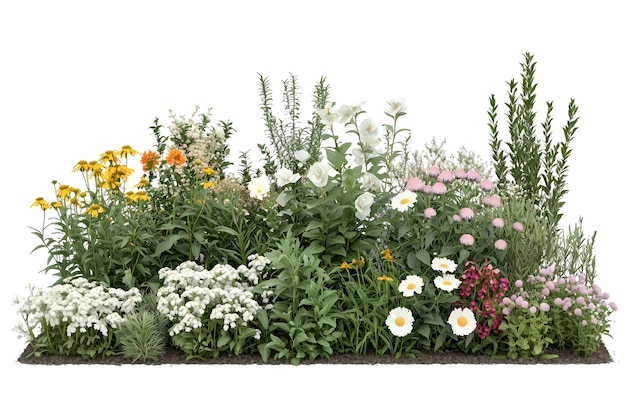 PSD colorful wildflower garden with a variety of blooming flowers and lush green foliage