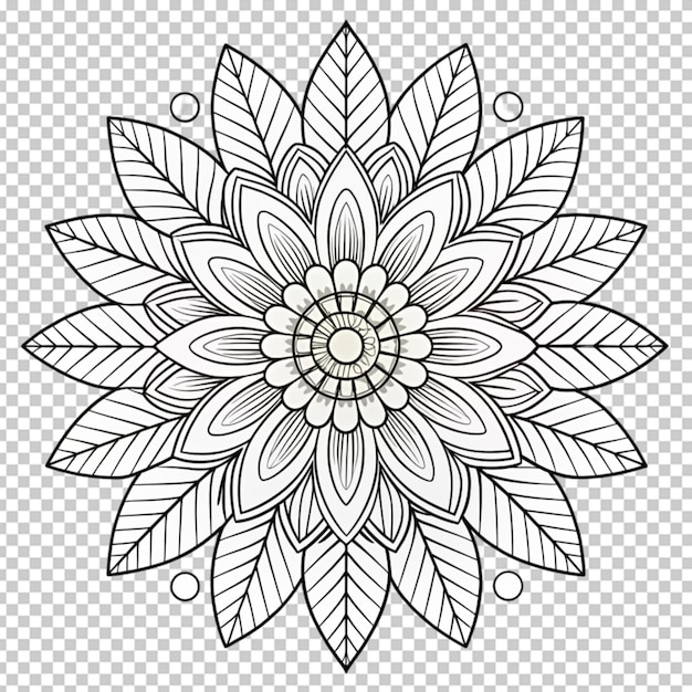 Coloring book for children beautiful flowers outline floral pattern