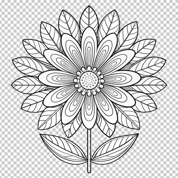 Coloring book for children beautiful flowers outline floral pattern