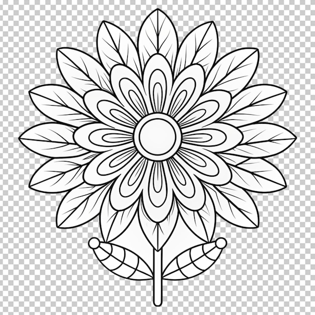 Coloring book for children beautiful flowers outline floral pattern