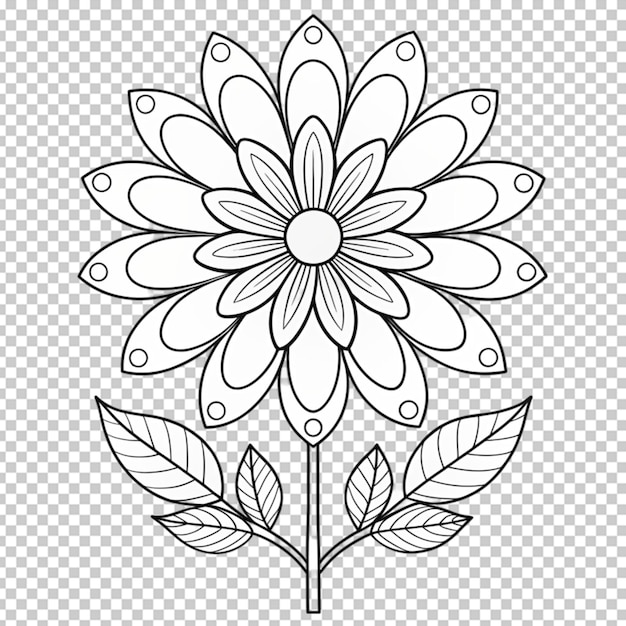 Coloring book for children beautiful flowers outline floral pattern