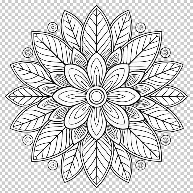 Coloring book for children beautiful flowers outline floral pattern