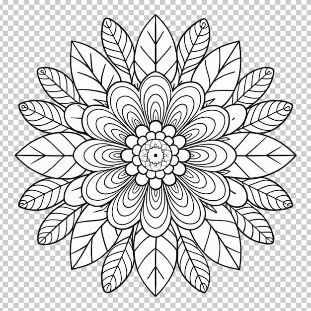 PSD coloring book for children beautiful flowers outline floral pattern