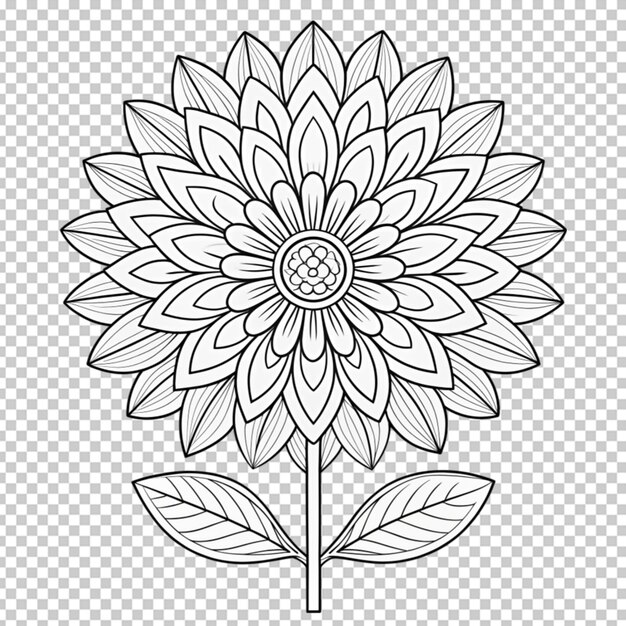 Coloring book for children beautiful flowers outline floral pattern