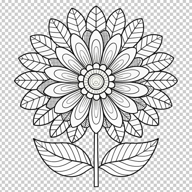 PSD coloring book for children beautiful flowers outline floral pattern