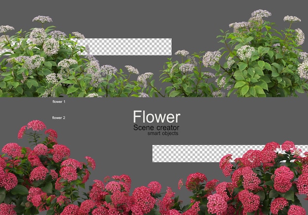 The colors of various types of flowers