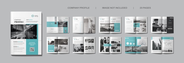 PSD company profile