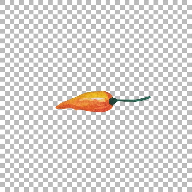 PSD concept illustration of cayenne peppers hand draw water colour style fit for your element project