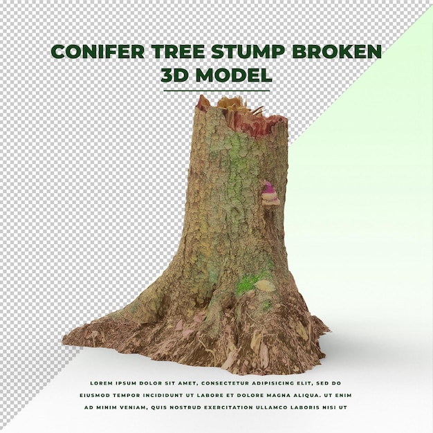 PSD conifer tree stump broken