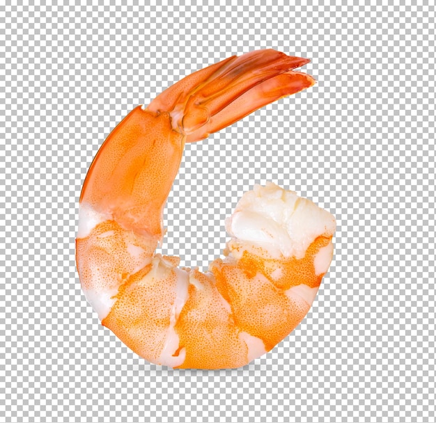 Cooked shrimps isolated on alpha layer