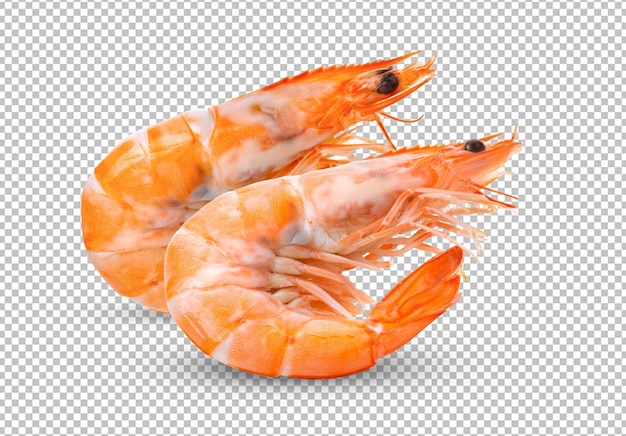 Cooked shrimps isolated on alpha layer