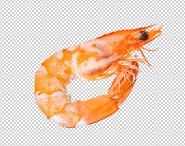 Cooked shrimps isolated on alpha layer