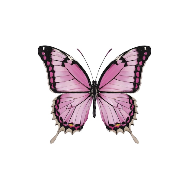 PSD coquette pink butterfly vector sublimation clipart