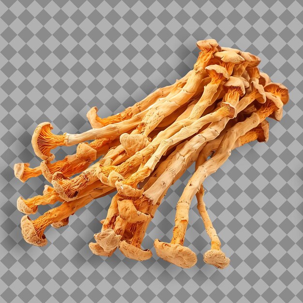 Cordyceps Mushrooms Herb Type Cordyceps Sinensis Form of Her Isolated Object on Clean Background